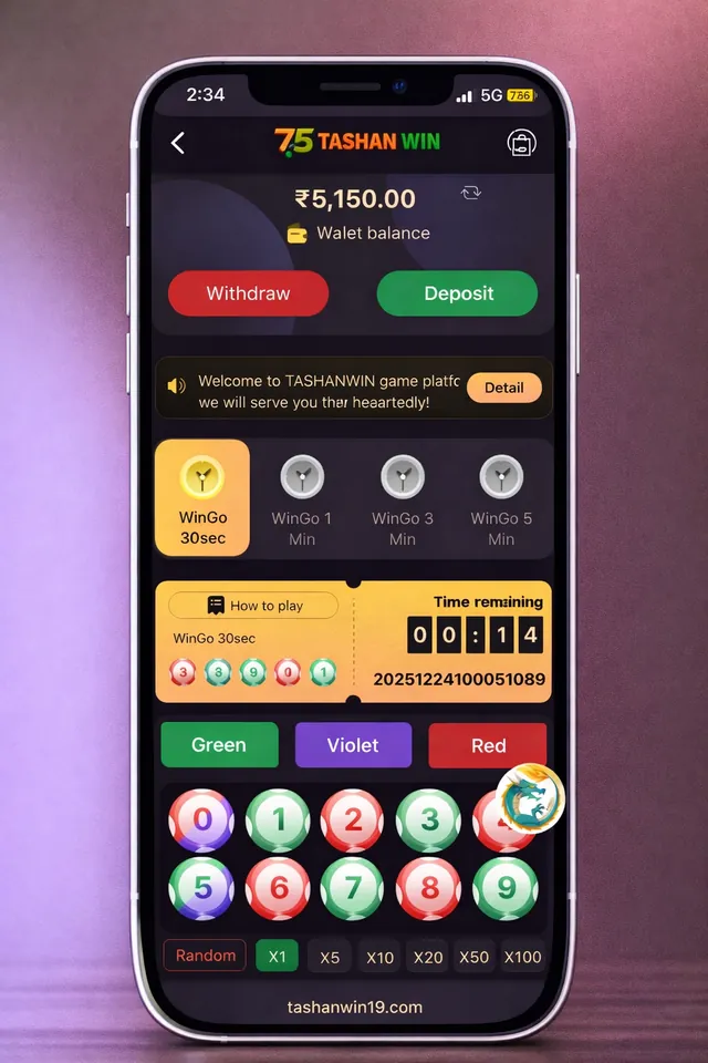 Tashanwin wallet screen showing balance, deposit and withdraw options